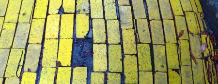 Yellow Brick Road Performance in Abu Dhabi - Coming Soon in UAE