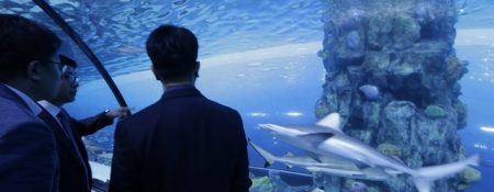 Shark Week exhibit at Dubai Mall - Coming Soon in UAE