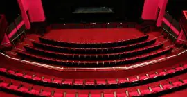 Dubai Community Theatre & Arts Centre (DUCTAC) photo - Coming Soon in UAE
