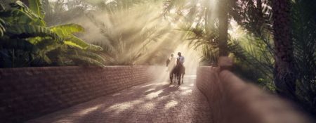 Al Ain Oasis - Coming Soon in UAE