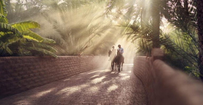 Al Ain Oasis - Coming Soon in UAE