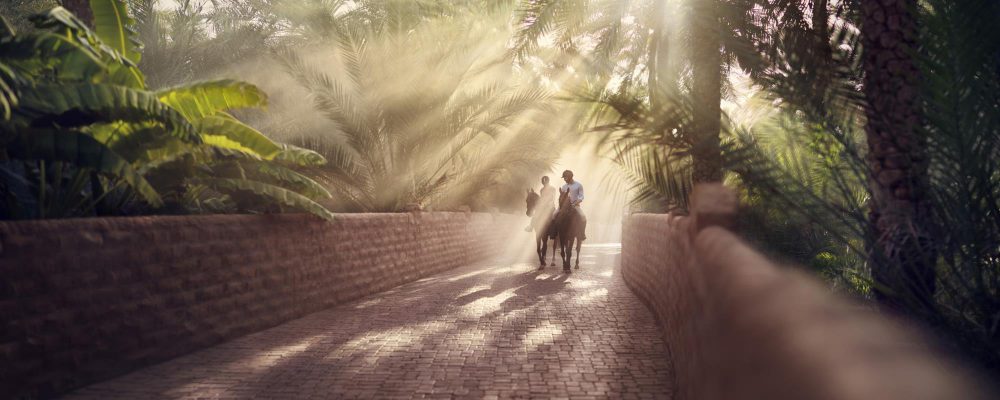 Al Ain Oasis - Coming Soon in UAE