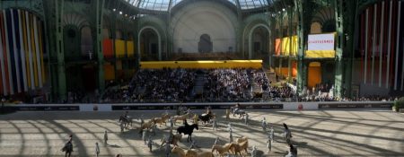Bartabas Equestrian Show in Al Ain - Coming Soon in UAE