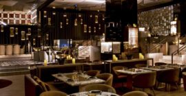 PLAY Restaurant & Lounge gallery - Coming Soon in UAE