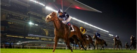 Meydan Horse Race - Coming Soon in UAE