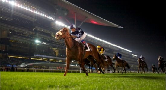 Meydan Horse Race - comingsoon.ae