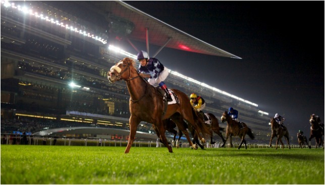 Meydan Horse Race - Coming Soon in UAE
