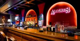 Amadeus gallery - Coming Soon in UAE