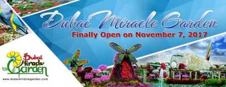 Dubai Miracle Garden 2017 – 2018 - Coming Soon in UAE