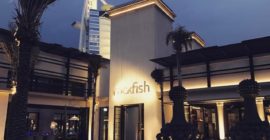 Rockfish gallery - Coming Soon in UAE