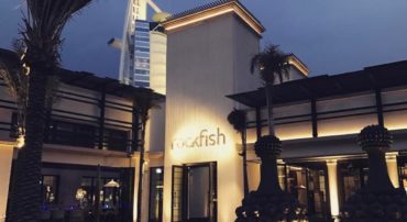 Rockfish - Coming Soon in UAE