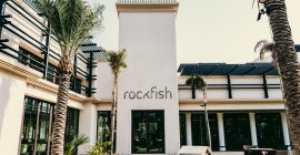 Rockfish photo - Coming Soon in UAE