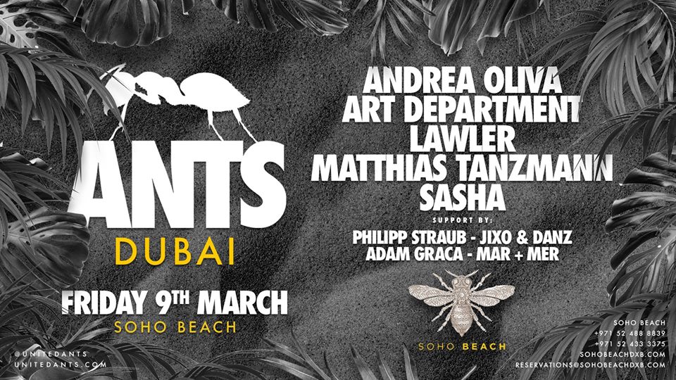 Soho Beach DXB Presents: Ants - Coming Soon in UAE