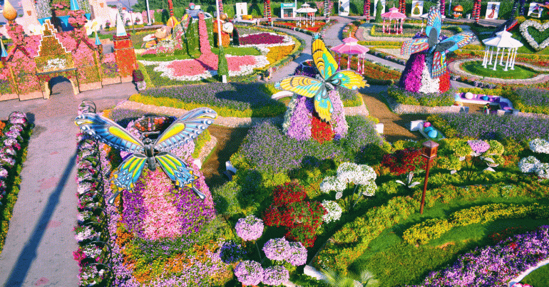 Dubai Miracle Garden - Coming Soon in UAE