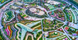 Dubai Miracle Garden gallery - Coming Soon in UAE