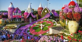 Dubai Miracle Garden photo - Coming Soon in UAE