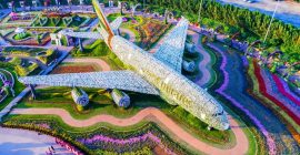 Dubai Miracle Garden photo - Coming Soon in UAE