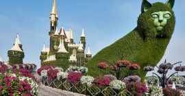 Dubai Miracle Garden photo - Coming Soon in UAE