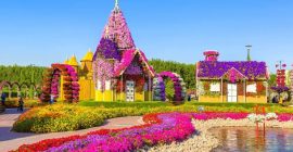 Dubai Miracle Garden photo - Coming Soon in UAE