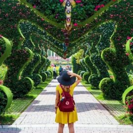 Dubai Miracle Garden - Coming Soon in UAE