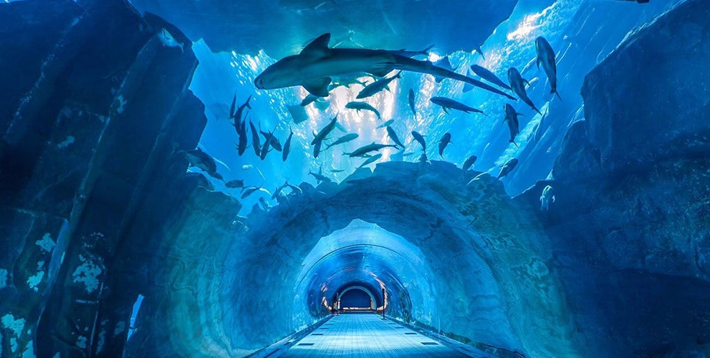 Dubai Aquarium