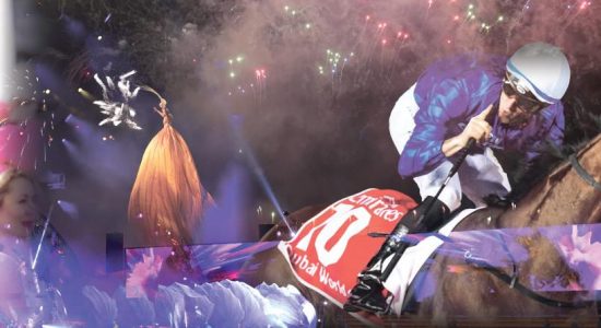 Dubai World Cup 2019 - comingsoon.ae