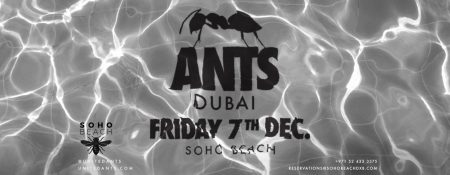 ANTS on Tour – SOHO Beach - Coming Soon in UAE