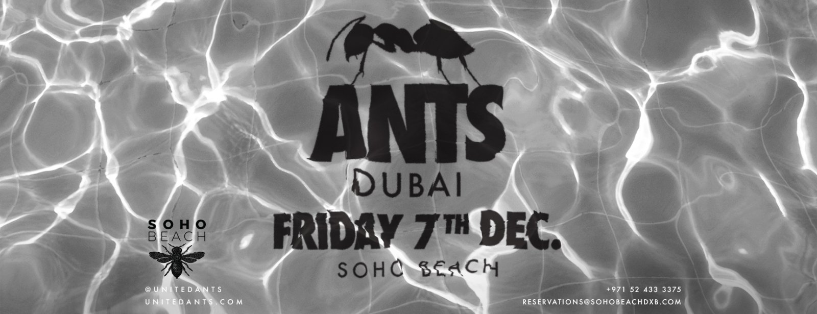 ANTS on Tour – SOHO Beach - Coming Soon in UAE