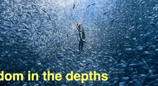 Freediving — the way to freedom in the depths - comingsoon.ae