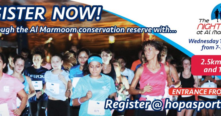 The Desert Night Run at Al Marmoom - Coming Soon in UAE