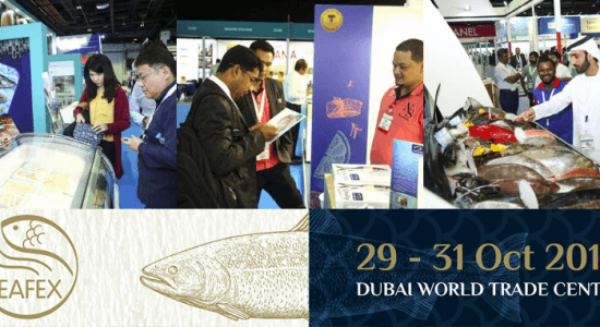 Seafex 2019 - comingsoon.ae
