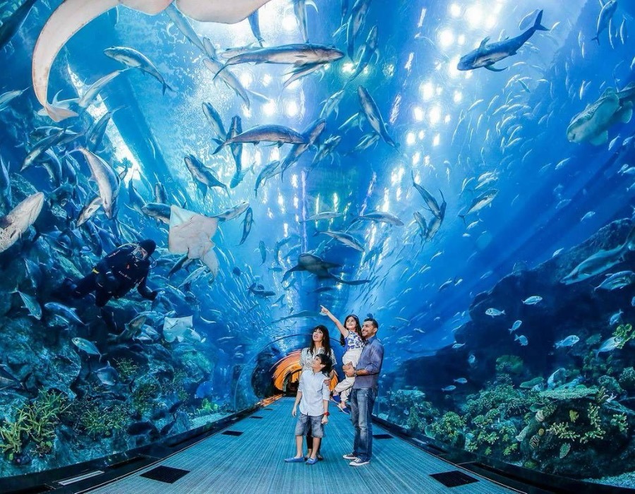 Dubai Aquarium and Underwater Zoo