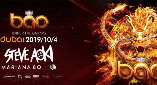 Bao Festival 2019: Steve Aoki, Mariana BO, DJ L - comingsoon.ae