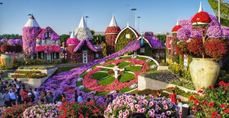 Dubai Miracle Garden 2023-2024 - Coming Soon in UAE