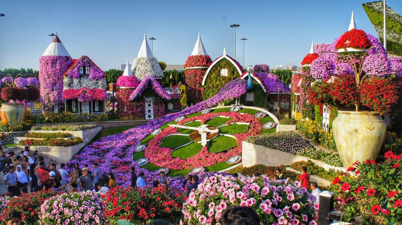 Dubai Miracle Garden, a garden full of flowers and flower houses