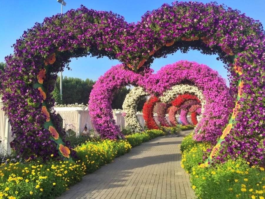 Dubai Miracle Garden - flower kingdom from a fairy tale