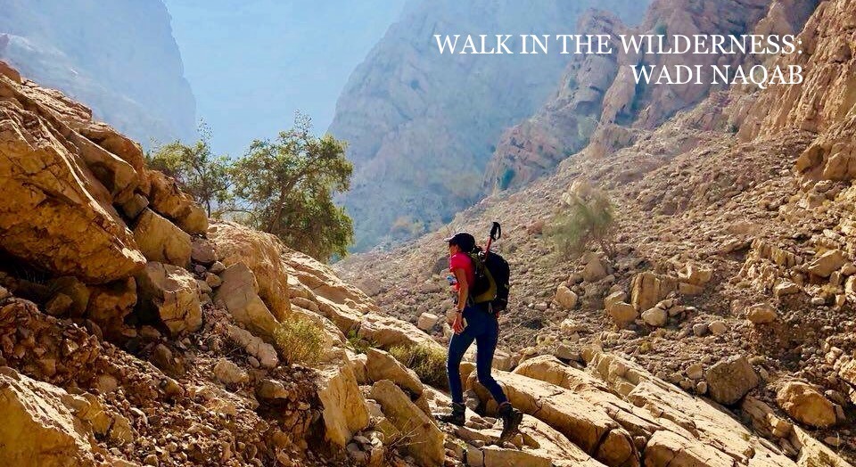 Walk in the Wilderness: Wadi Naqab at RAK - Coming Soon in UAE