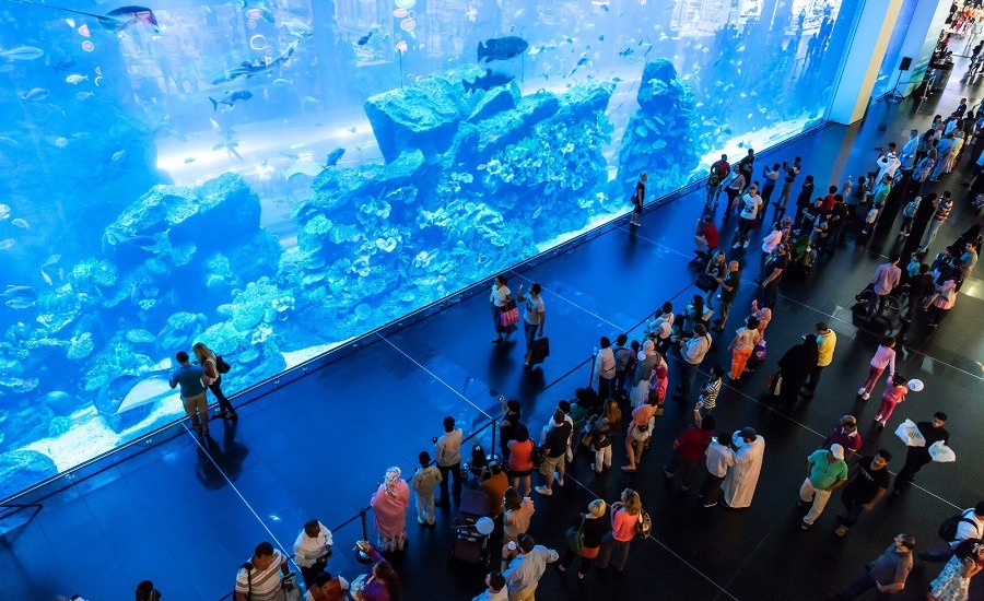 Dubai Aquarium and Underwater Zoo