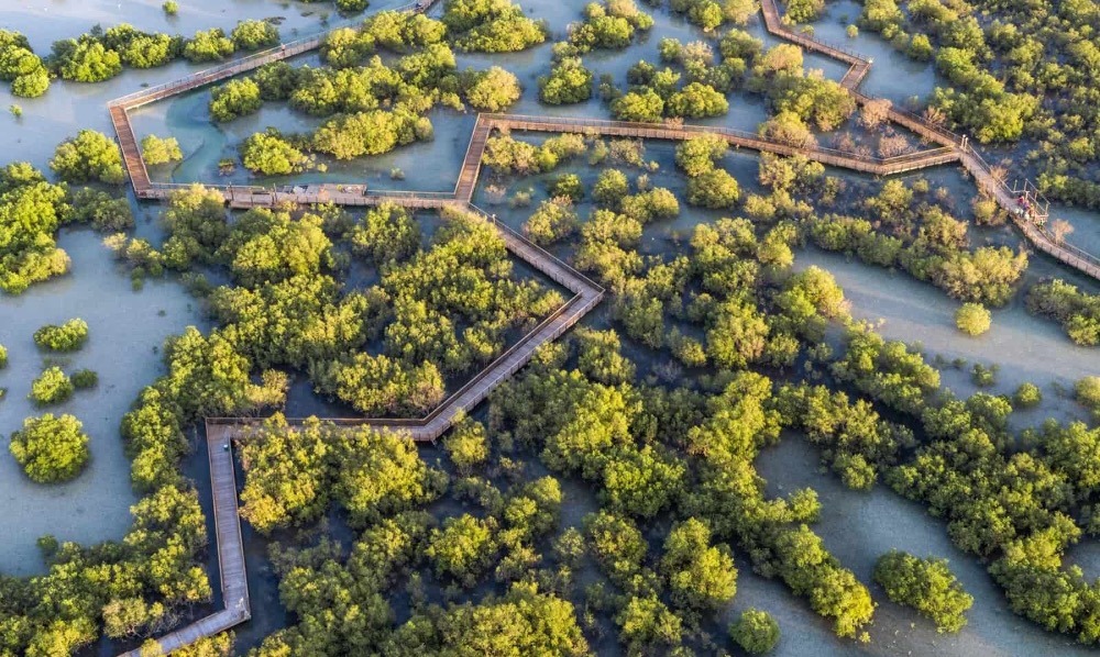 Jubail Mangrove Park