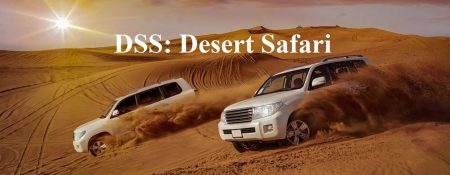 DSS: Desert Safari - Coming Soon in UAE