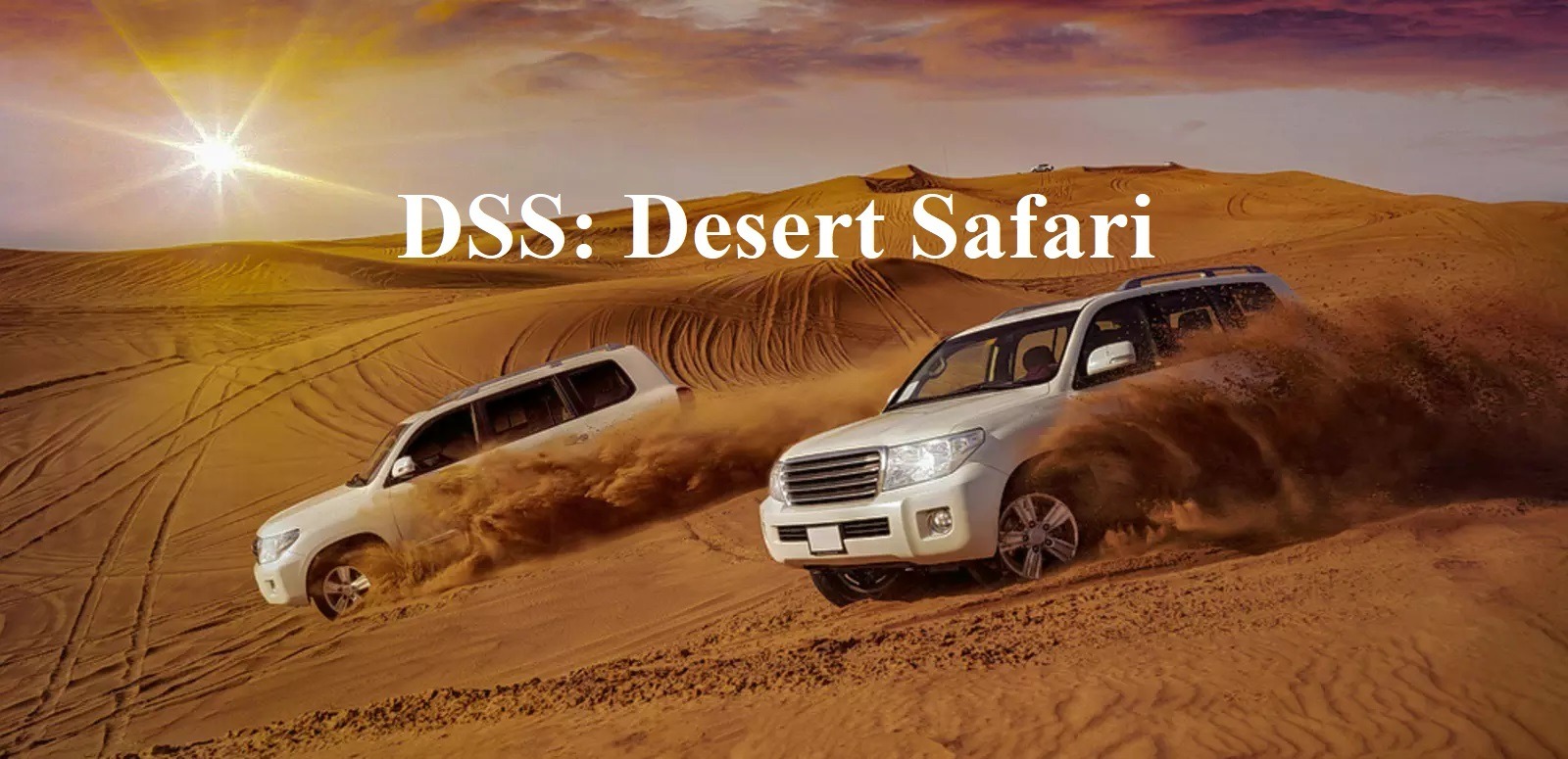DSS: Desert Safari - Coming Soon in UAE