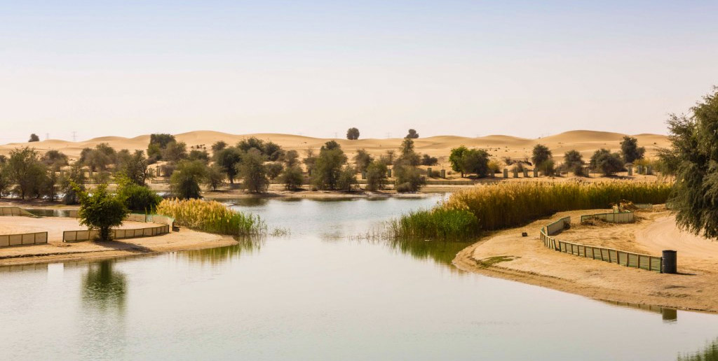 Al Qurda Lakes, Dubai