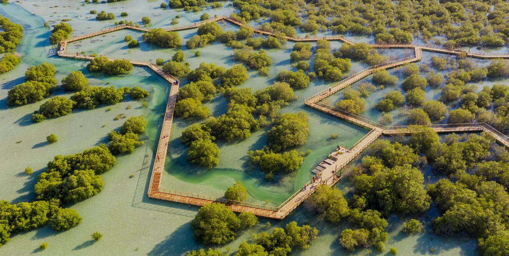 Mangrove Forests, Abu Dhabi