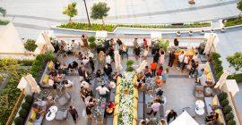 Soulgreen gallery - Coming Soon in UAE