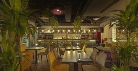 Nido Restaurant & Bar photo - Coming Soon in UAE