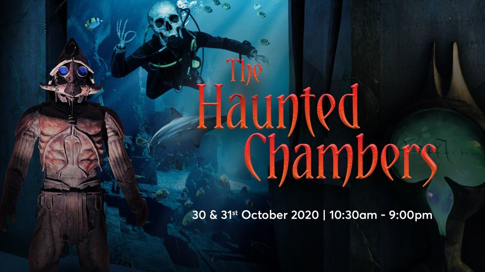 Halloween Special: The Haunted Chambers - Coming Soon in UAE