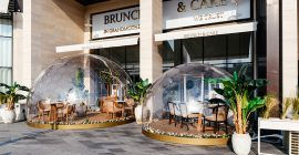 Brunch & Cake, Wasl 51 gallery - Coming Soon in UAE
