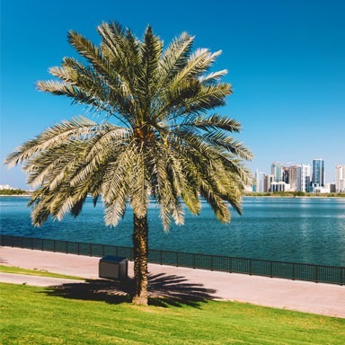 Creek Park in Bur Dubai