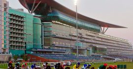 Meydan Racecourse photo - Coming Soon in UAE