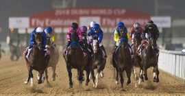 Meydan Racecourse photo - Coming Soon in UAE